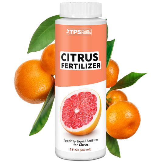 Citrus Fertilizer