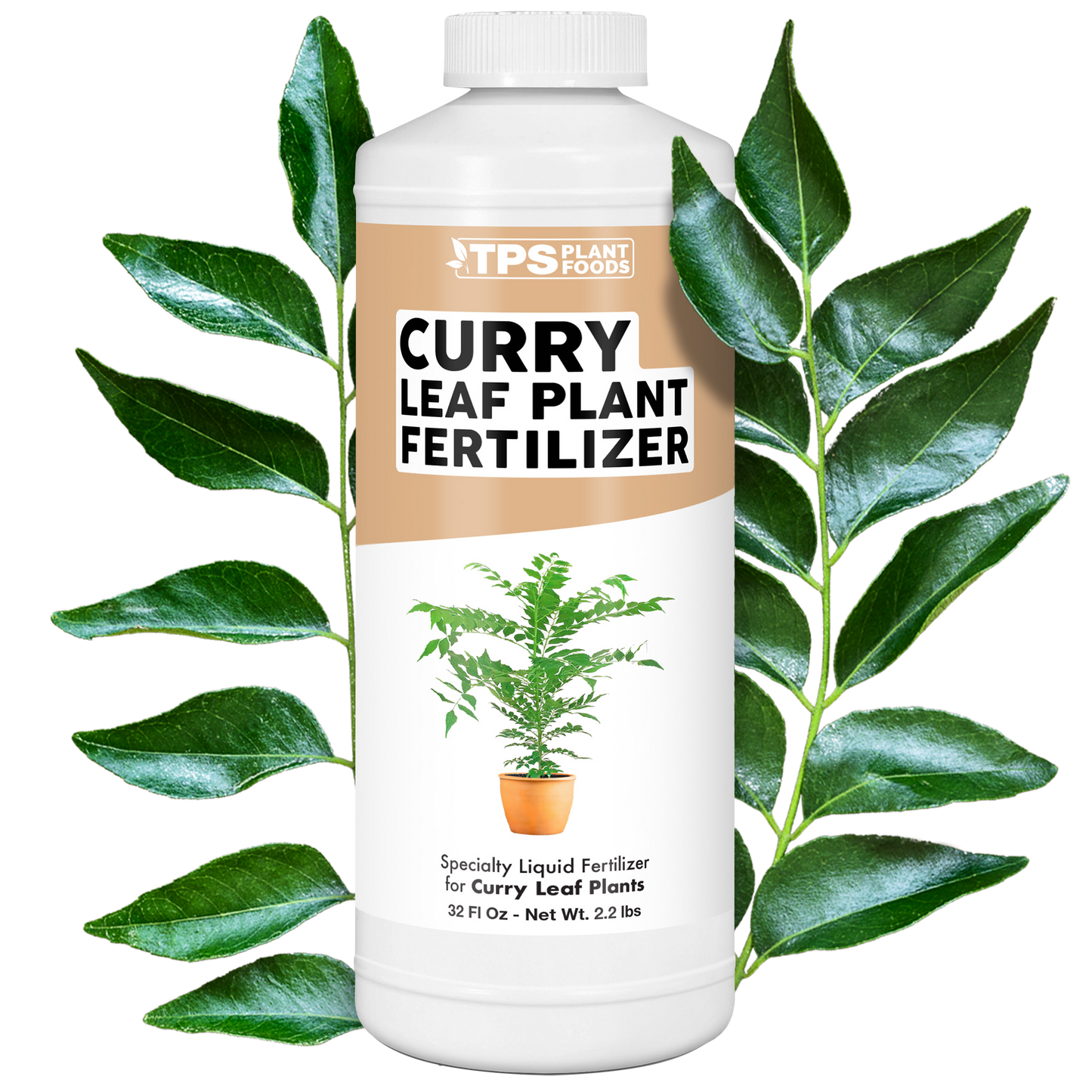 Curry Leaf Plant Fertilizer