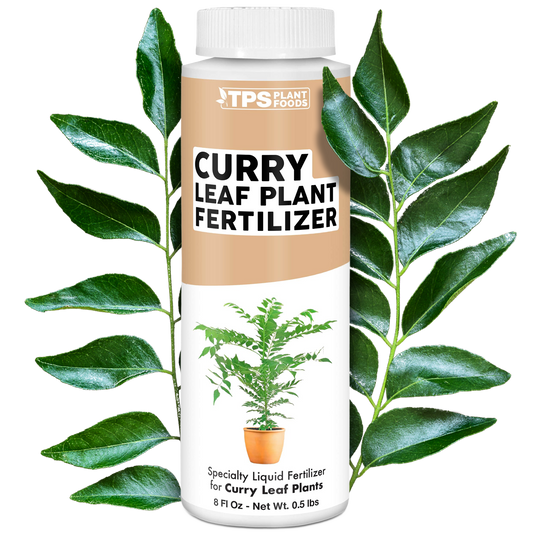 Curry Leaf Plant Fertilizer