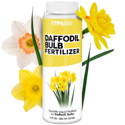Daffodil Bulb Fertilizer
