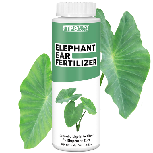 Elephant Ear Fertilizer