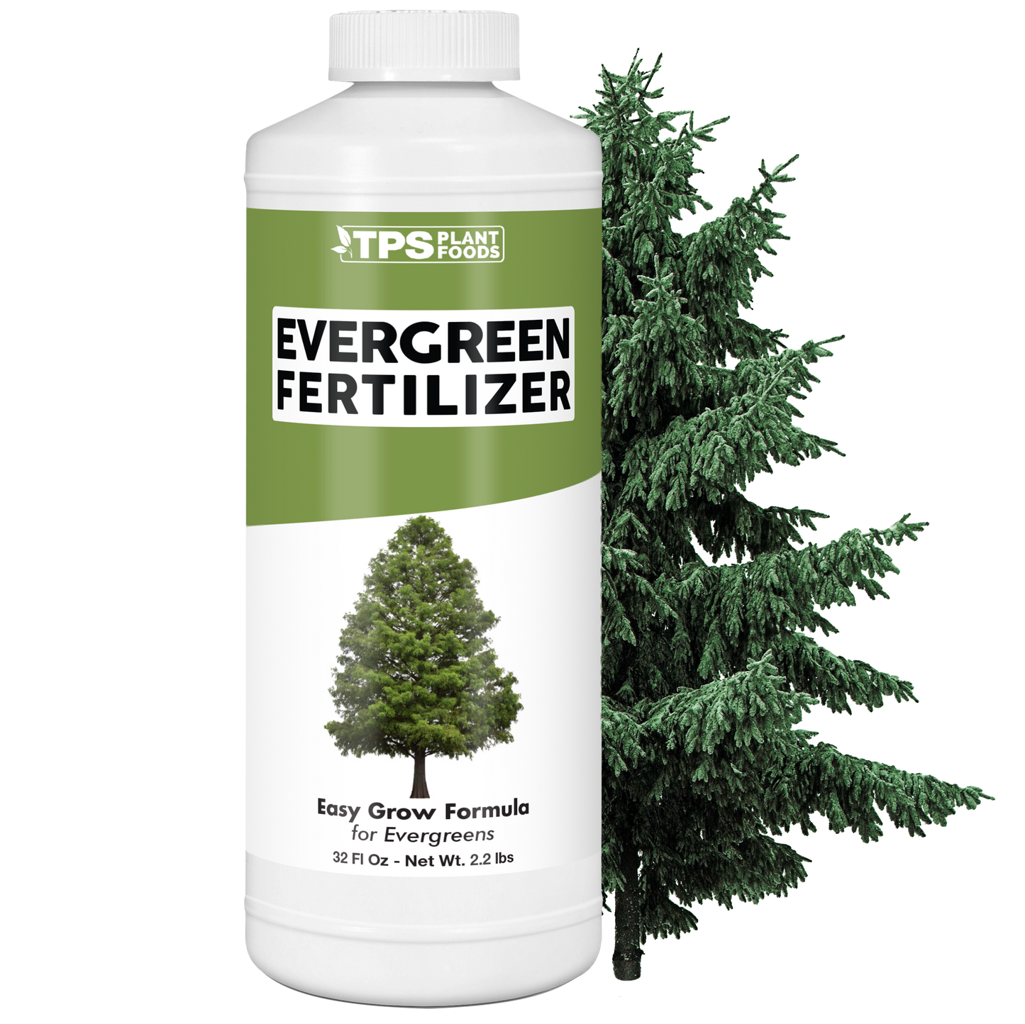 Evergreen Fertilizer