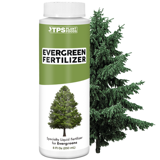 Evergreen Fertilizer