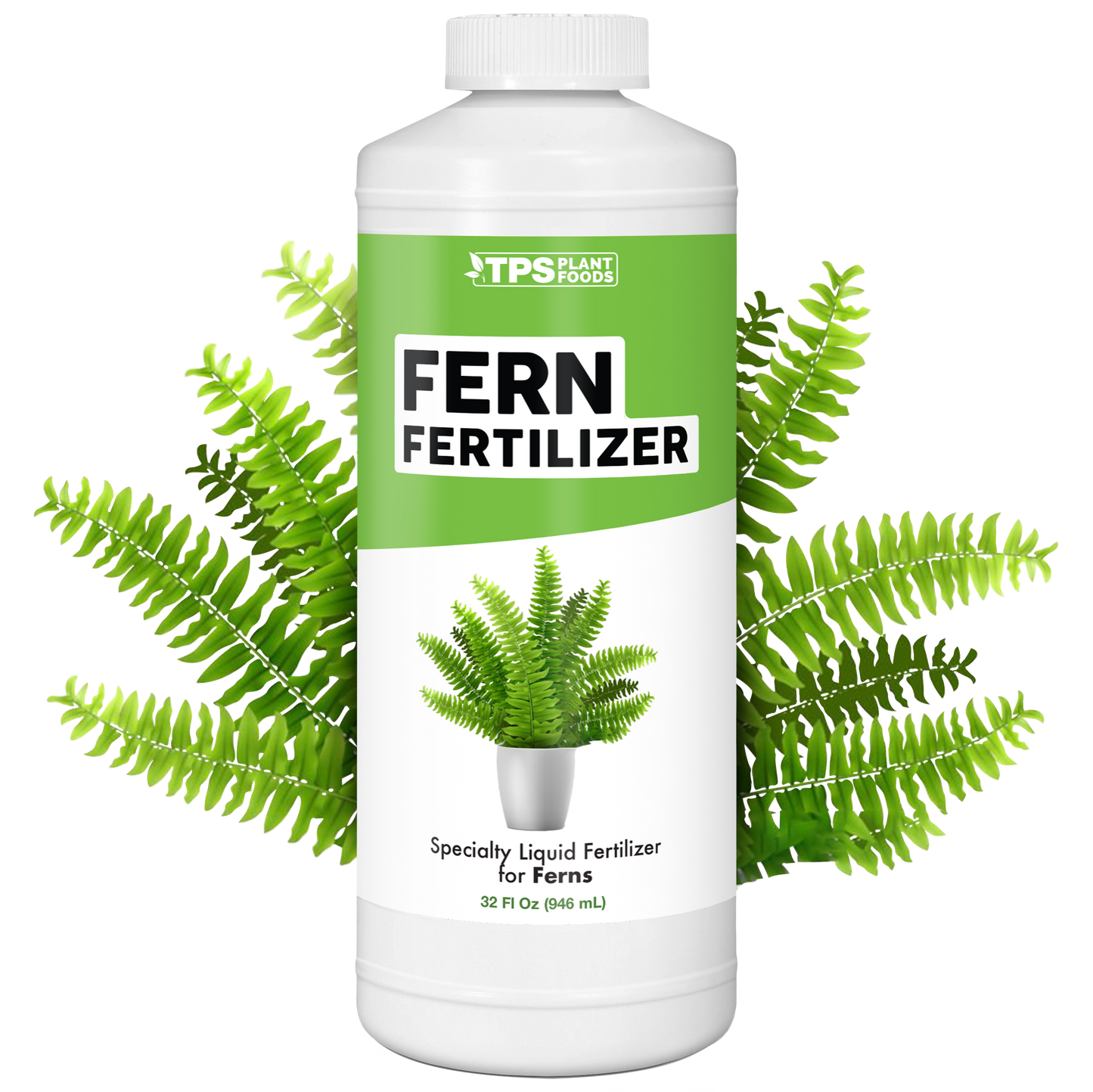 Fern Fertilizer