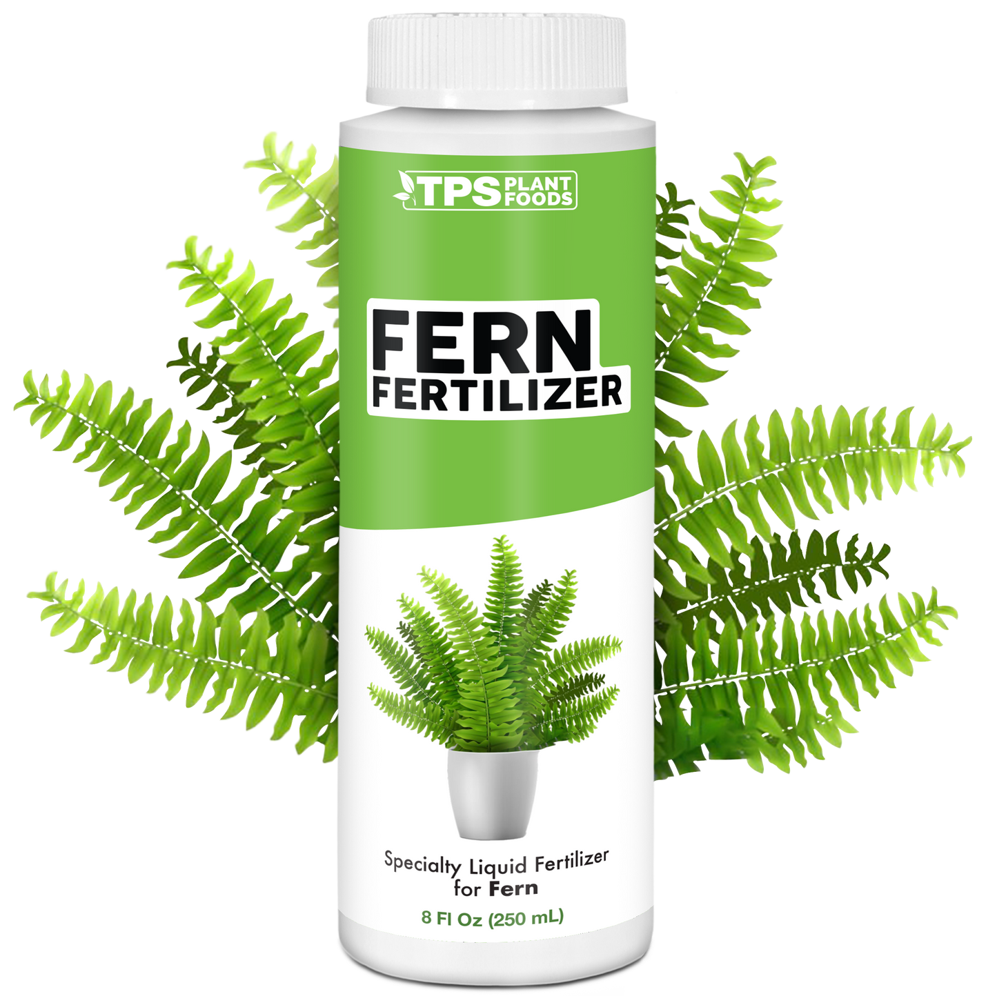 Fern Fertilizer