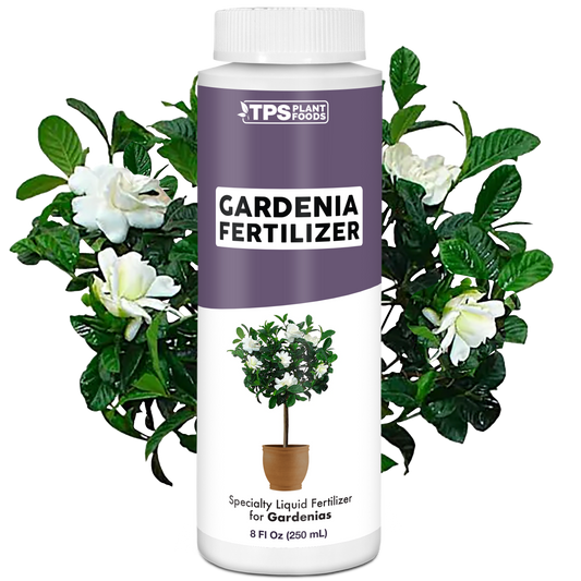 Gardenia Fertilizer