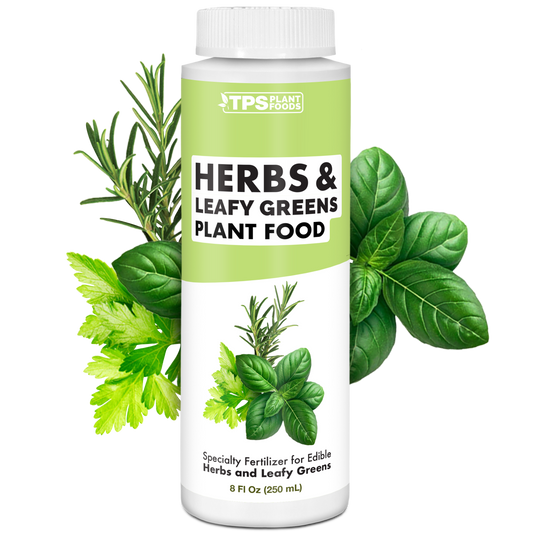 Herbs and Leafy Greens Plant Food