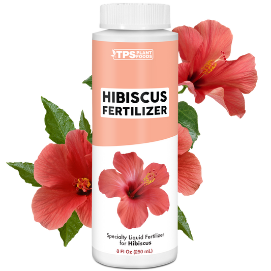 Hibiscus Fertilizer