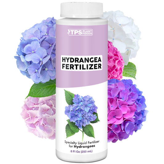 Hydrangea Fertilizer