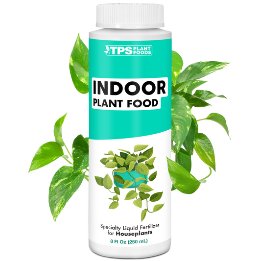 Indoor Plant Food