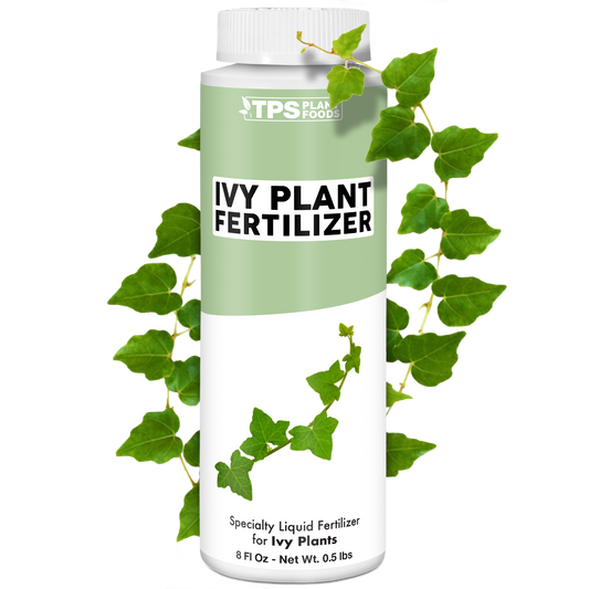 Ivy Plant Food