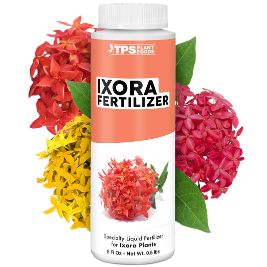 Ixora Fertilizer