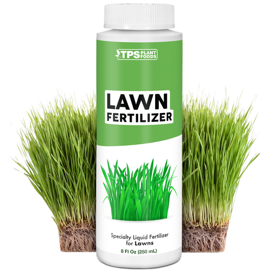 Lawn Fertilizer