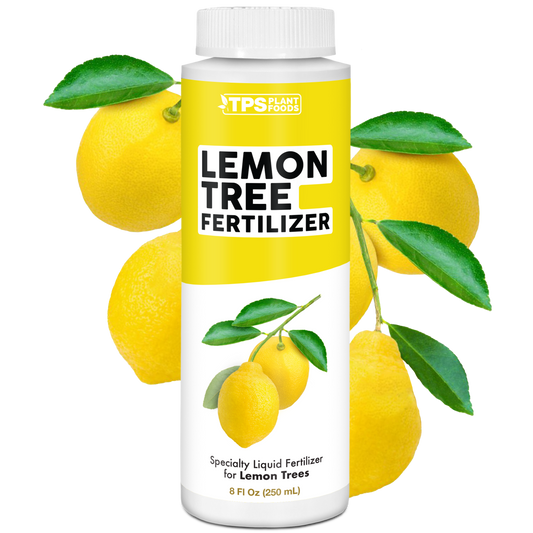 Lemon Tree Fertilizer