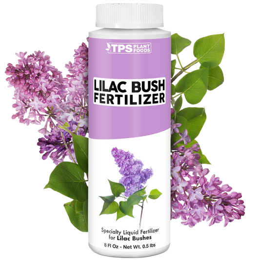 Lilac Bush Fertilizer