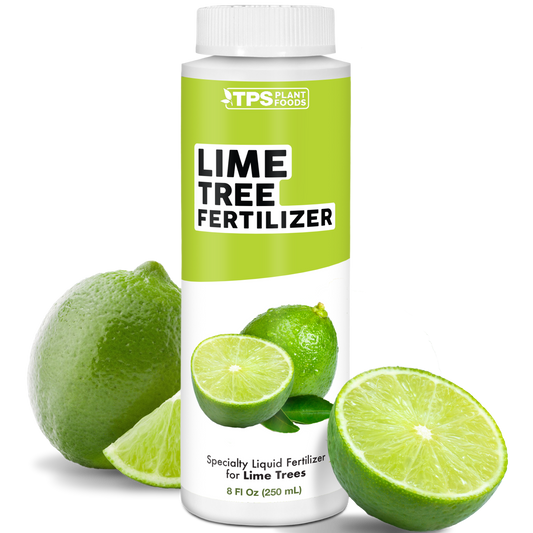Lime Tree Fertilizer