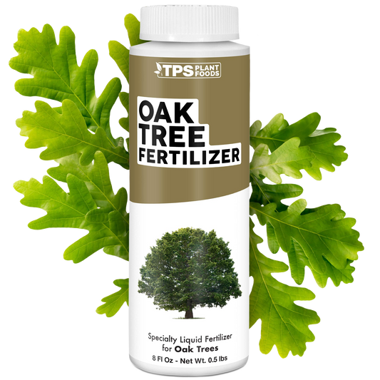 Oak Tree Fertilizer