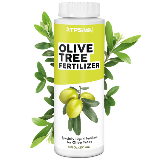 Olive Tree Fertilizer