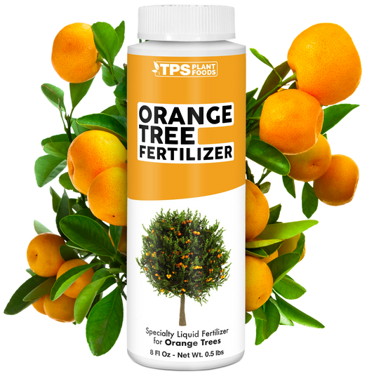 Orange Tree Fertilizer