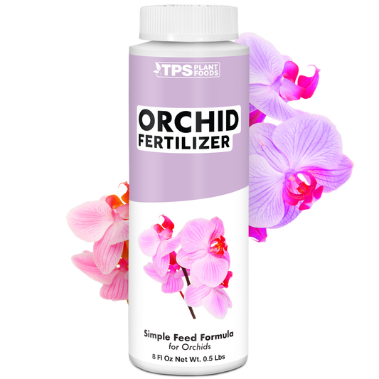 Orchid Plant Food