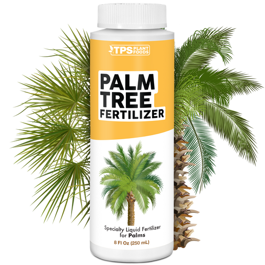 Palm Fertilizer