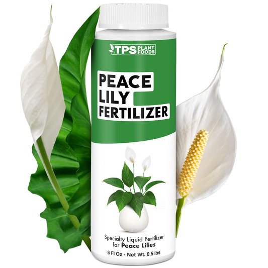 Peace Lily Fertilizer