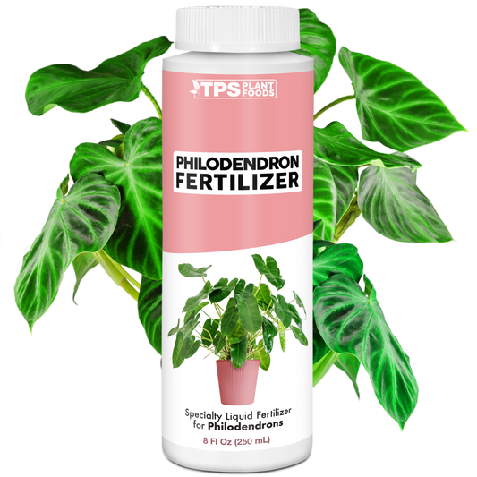 Philodendron Fertilizer