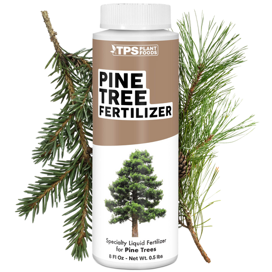 Pine Tree Fertilizer