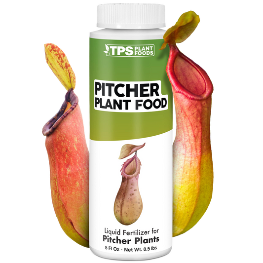 Pitcher Plant Food
