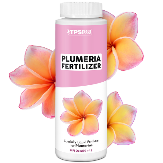 Plumeria Fertilizer
