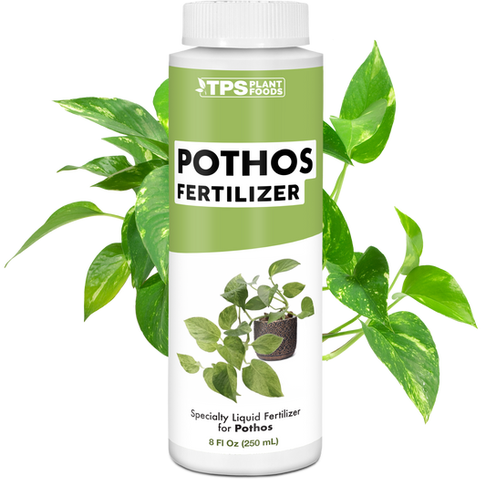 Pothos Fertilizer
