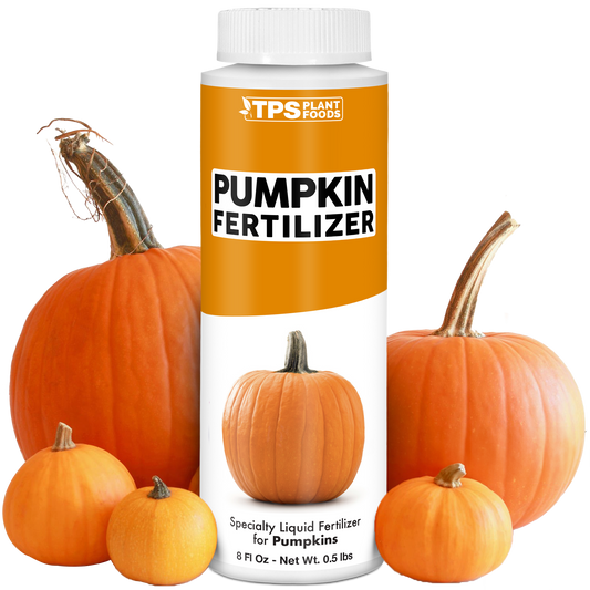 Pumpkin Fertilizer