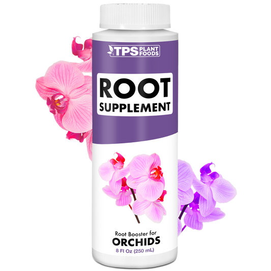 Orchid Root Supplement
