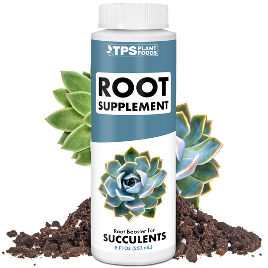 Succulent Root Supplement