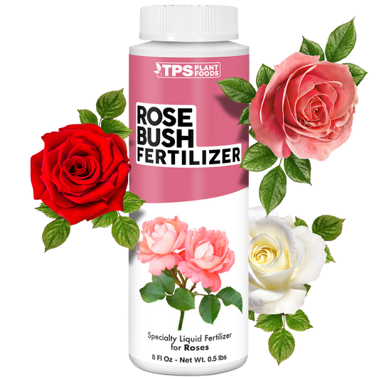 Rose Bush Fertilizer