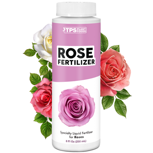 Rose Fertilizer
