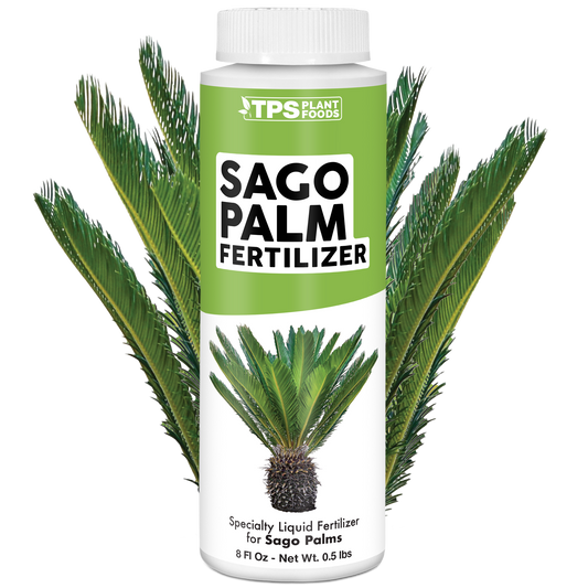 Sago Palm Fertilizer