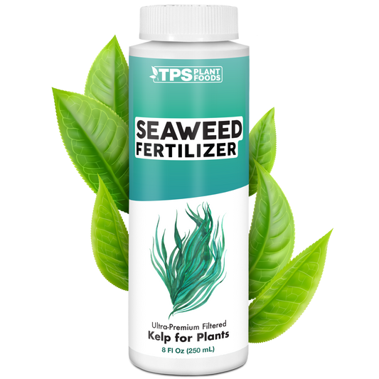 Seaweed Fertilizer