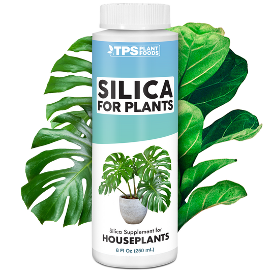 Silica for Plants