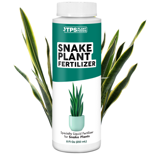 Snake Plant Fertilizer