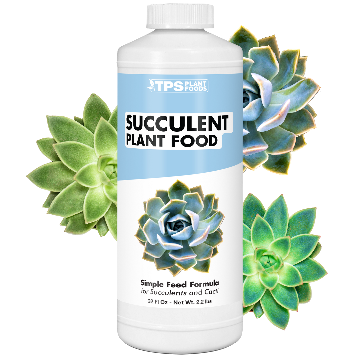 Succulent Plant Food