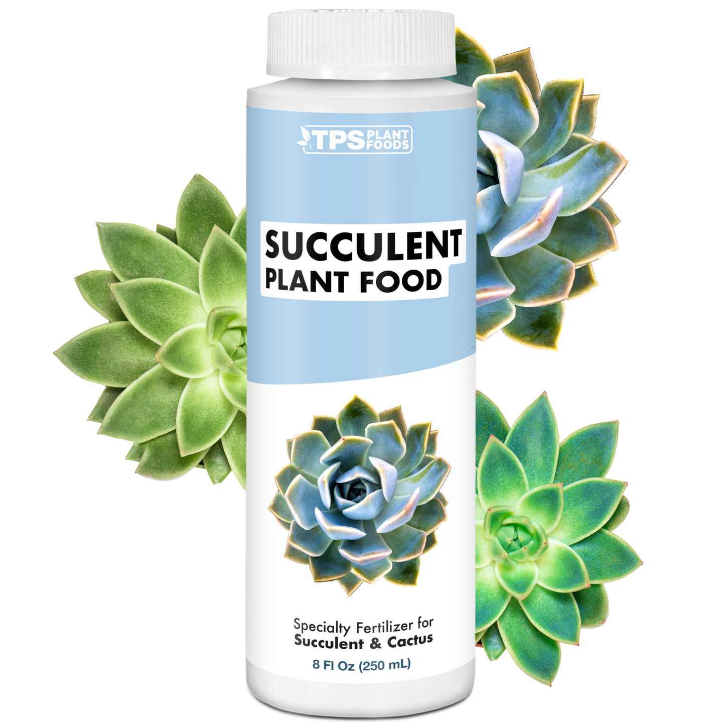 Succulent Plant Food