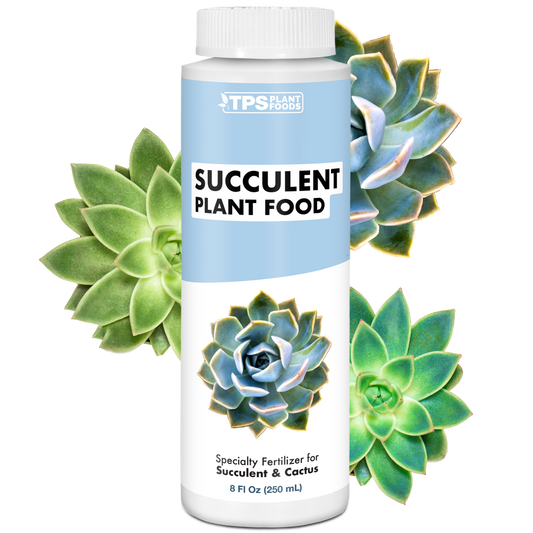 Succulent Plant Food