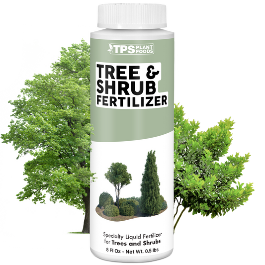 Tree And Shrub Fertilizer