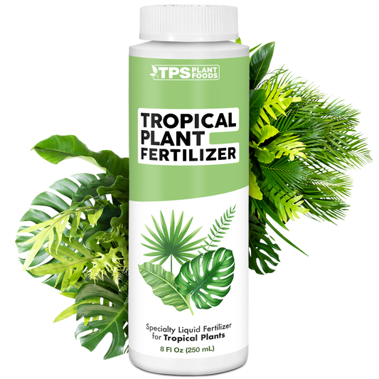 Tropical Plant Fertilizer