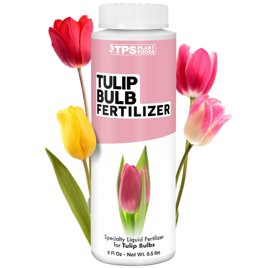 Tulip Bulb Fertilizer