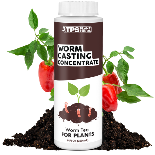 Worm Castings Concentrate