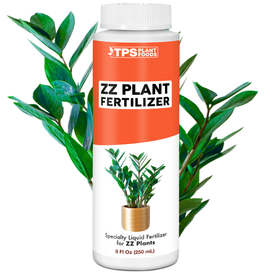 ZZ Plant Fertilizer